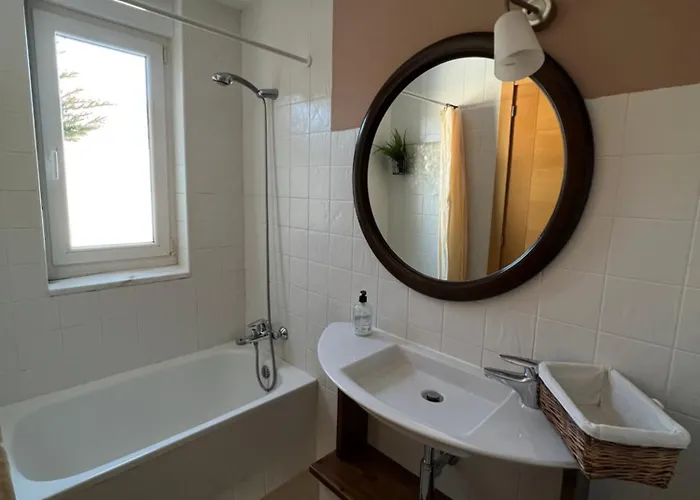 Llosa Planta Primera Y Planta Baja 샬레